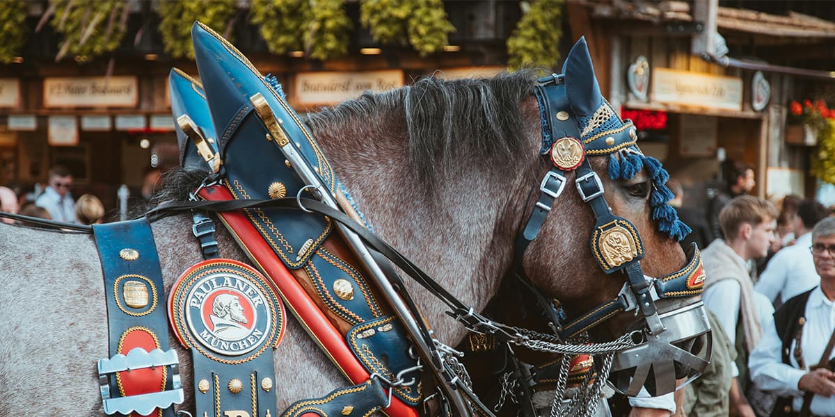 Your Essential Guide to Oktoberfest Tips