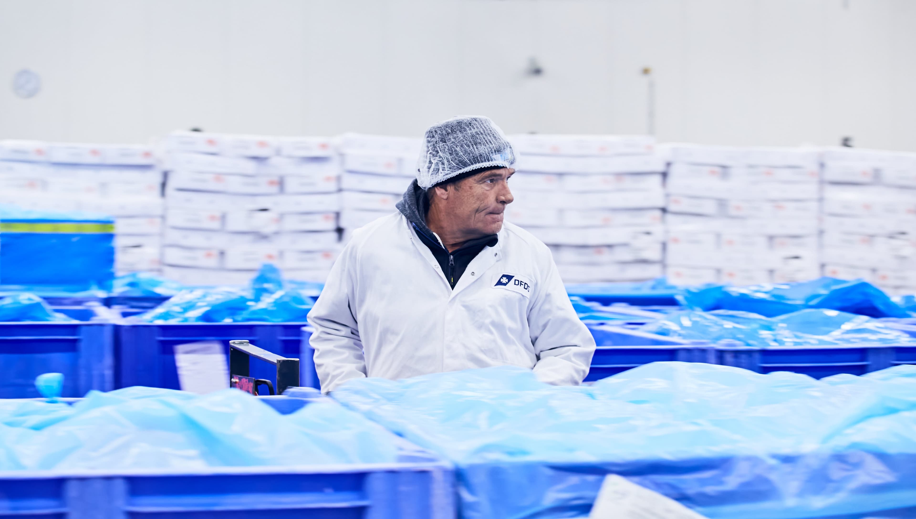 Worker inside cold storage warehouse