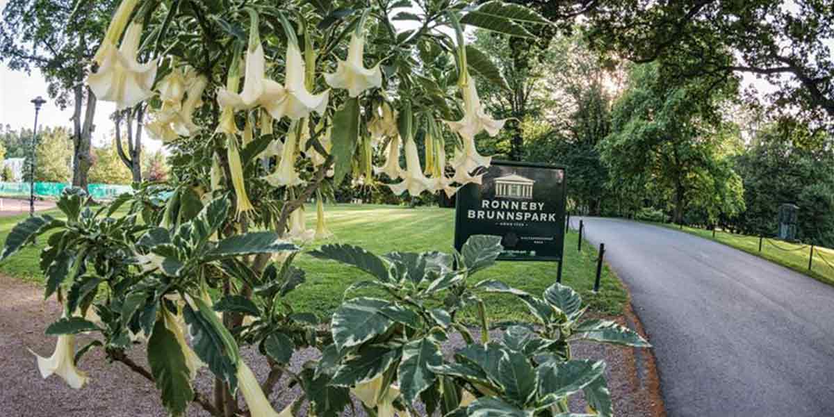 Entrance to Ronneby Brunnspark