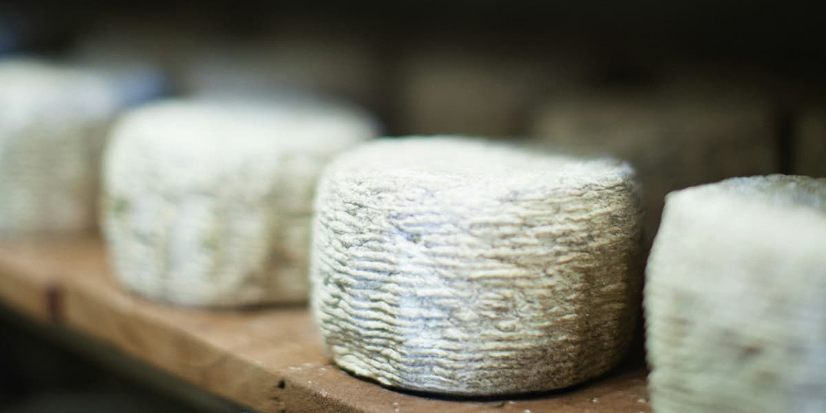 Top European Destinations for Cheese Lovers - Loire Valley
