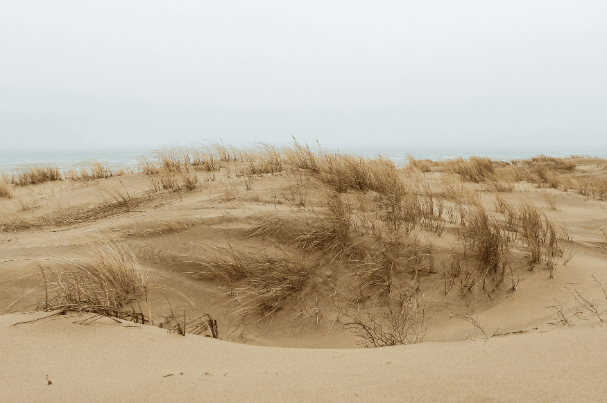 Close-up of Baltic amber pieces