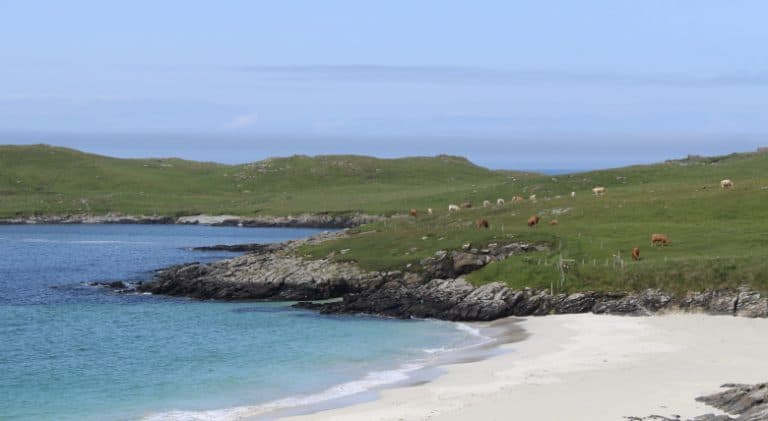ScotlandSummer 5 Shetland-768x421