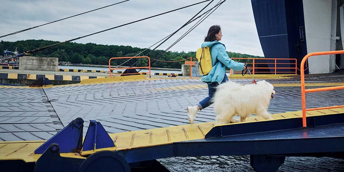 Travelling with a pet