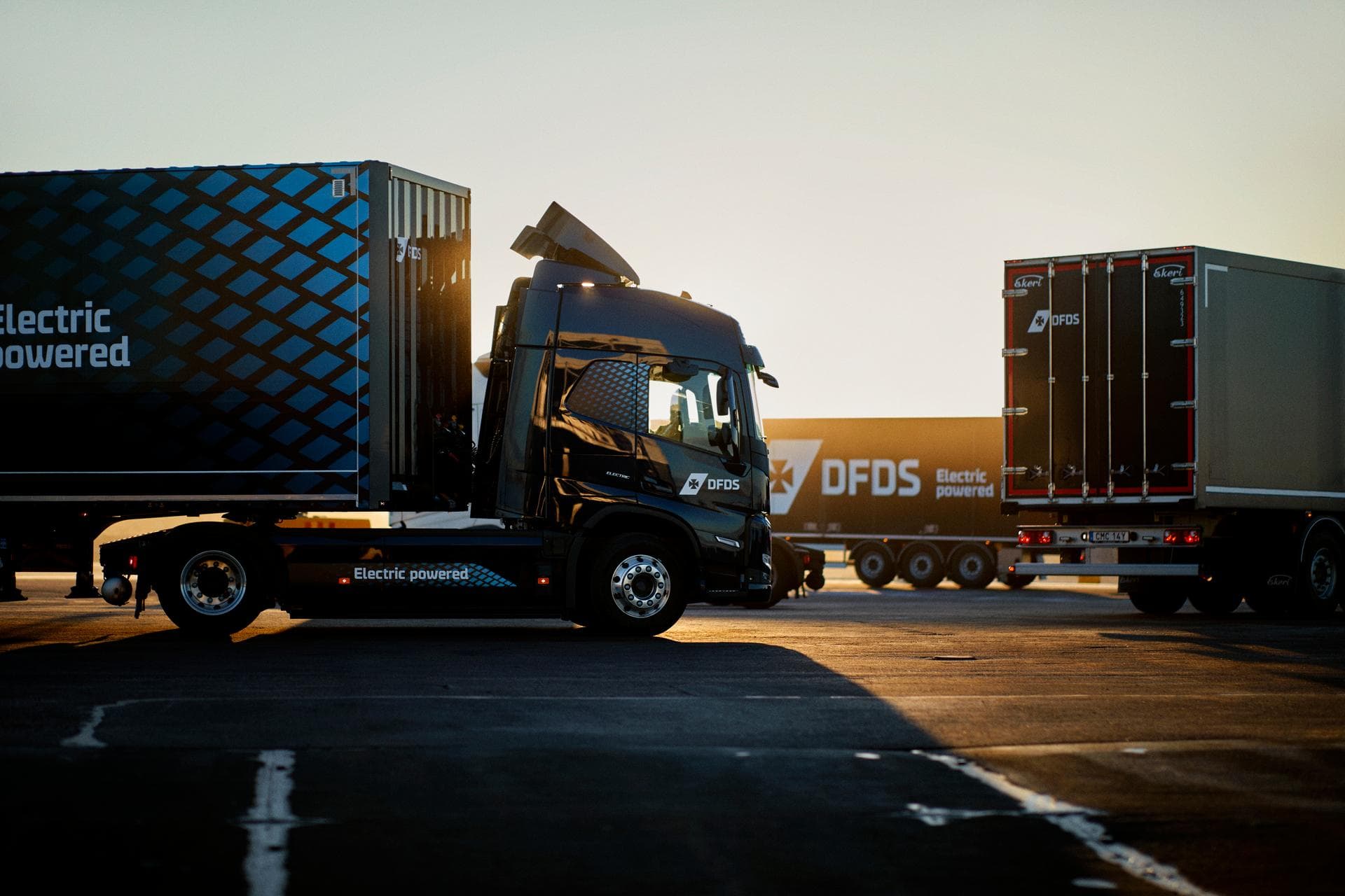 Three electric trucks in dark blue DFDS livery, seen in sunset, one in the background, two in the foreground