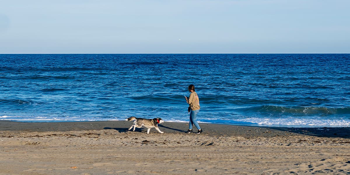 Woman with her dog at the beach