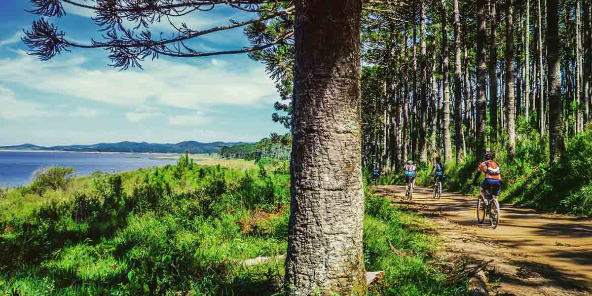 Cycle through the baltics