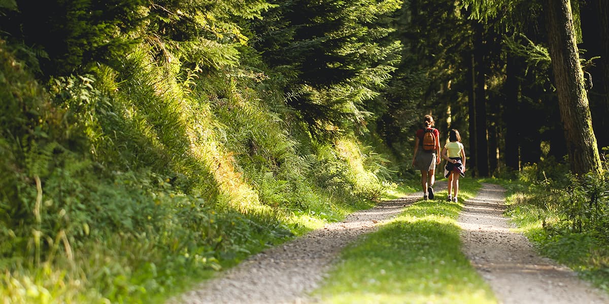 Always on SEO Best things to do Germany Hero