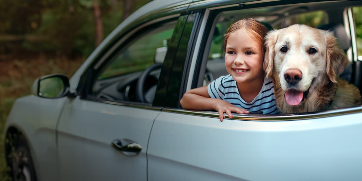Child and dog in the car
